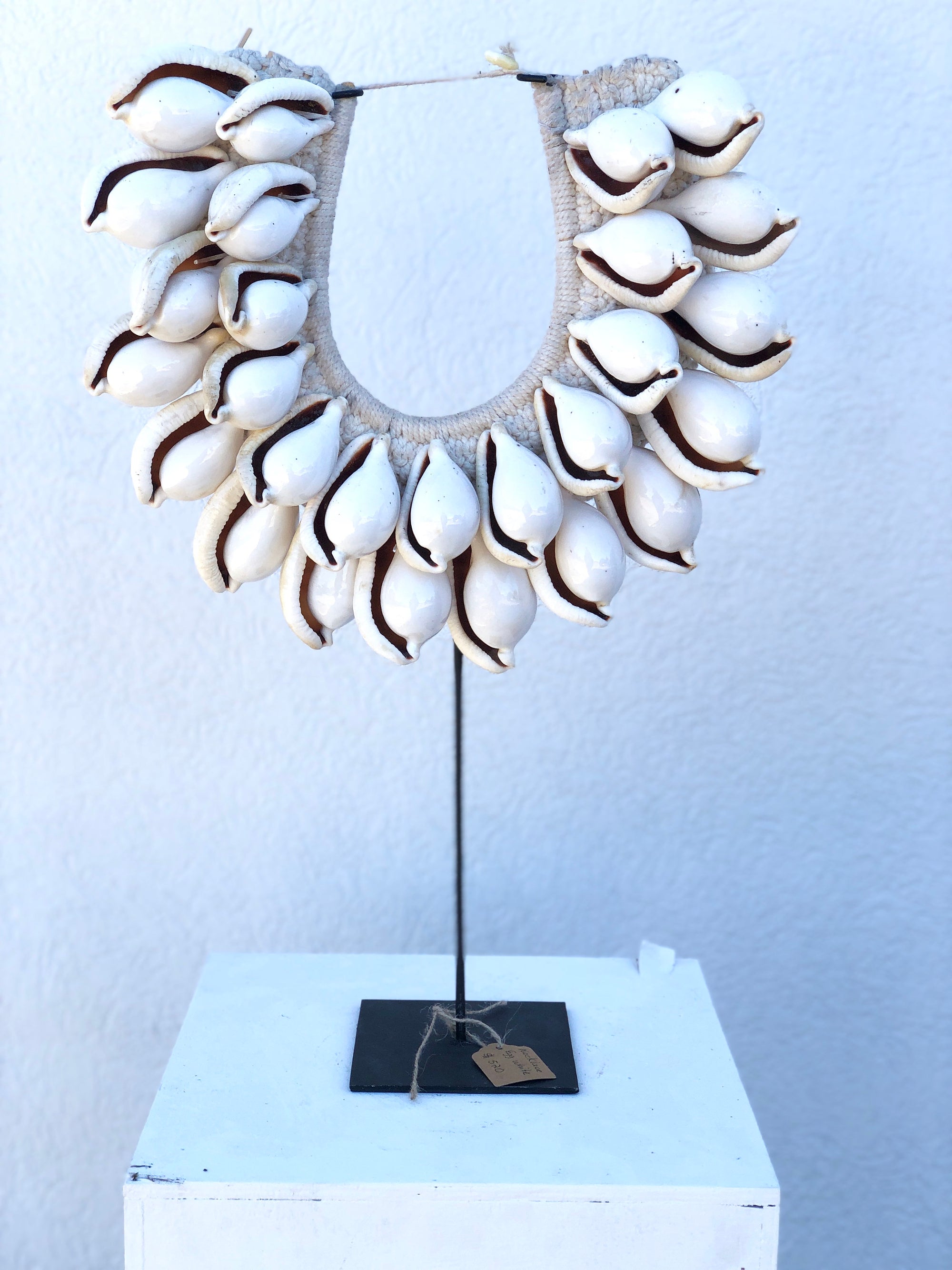 Large Atlantis Ovula Tribal Shell Necklace on Metal Stand