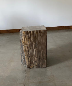 Brown Petrified wood stool block , fossil wood end table or coffee table 5