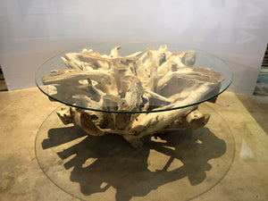 Teak Root bleached coffee table with Glass top