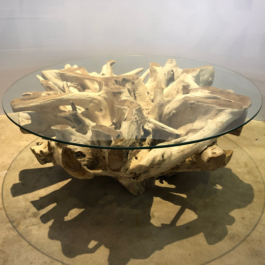 Teak Root bleached coffee table with Glass top