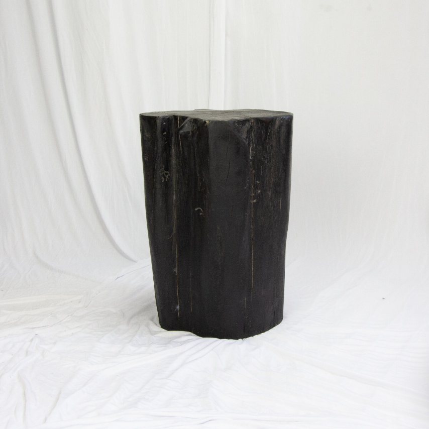 Black Solid Teak Fire Burnt Wood Side Table, Tree Stump Stool or End Table #4 - 18