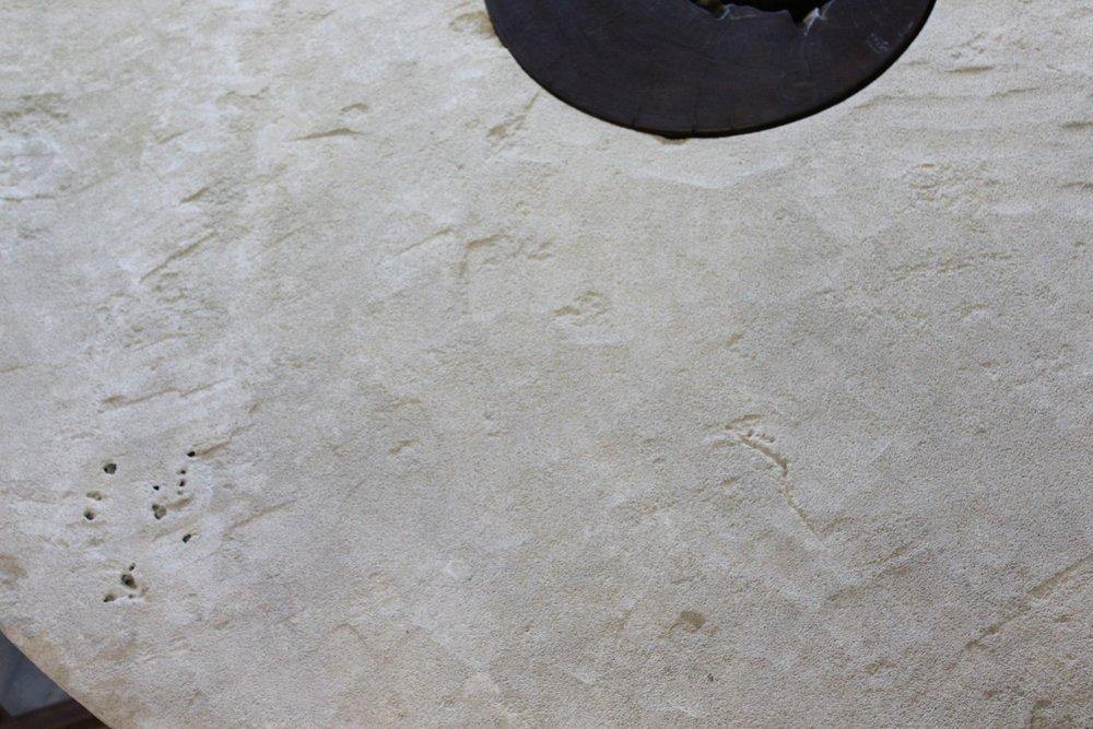 ARKA Living In and out limestone table on tree trunk