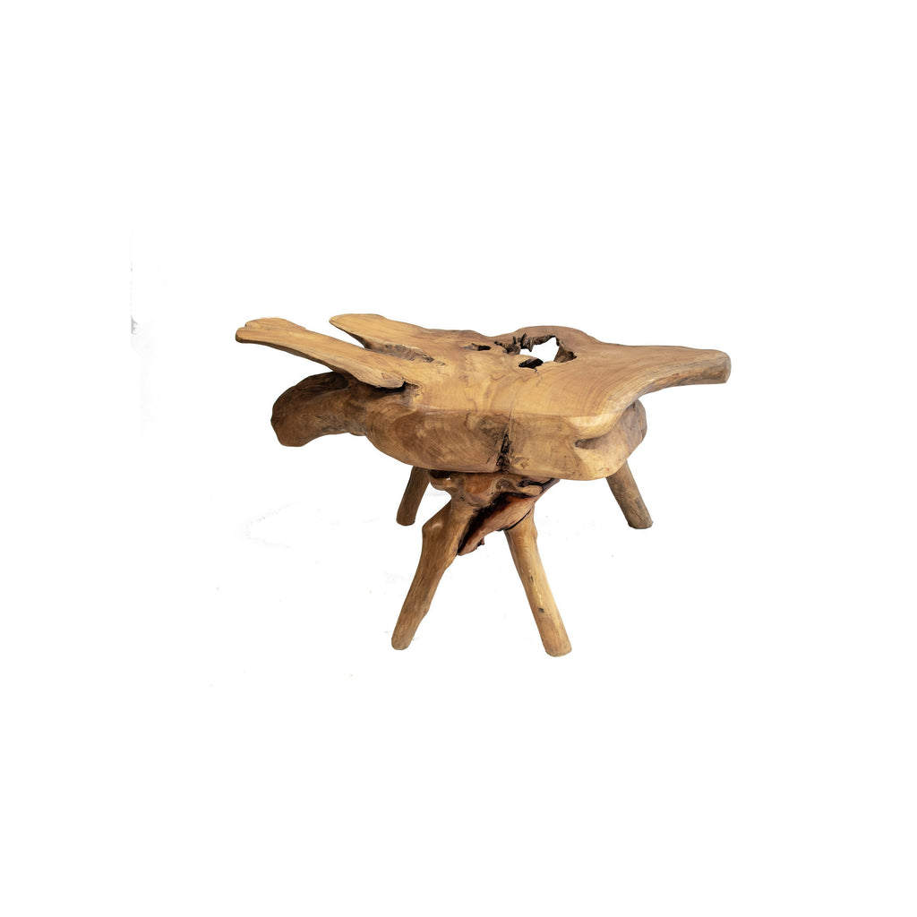 ARKA Living Rustic Primitive Teak root wood Coffee table