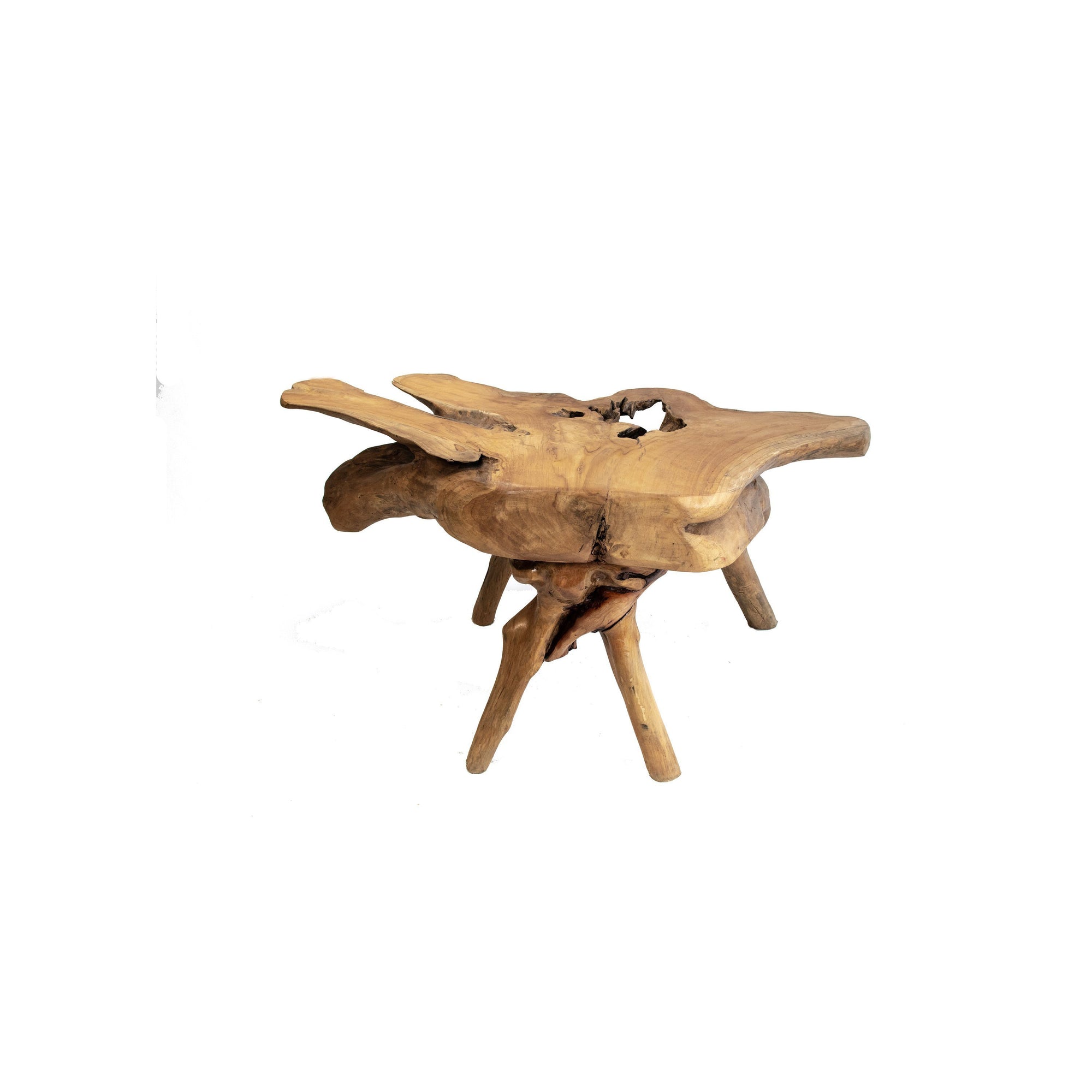 ARKA Living Rustic Primitive Teak root wood Coffee table