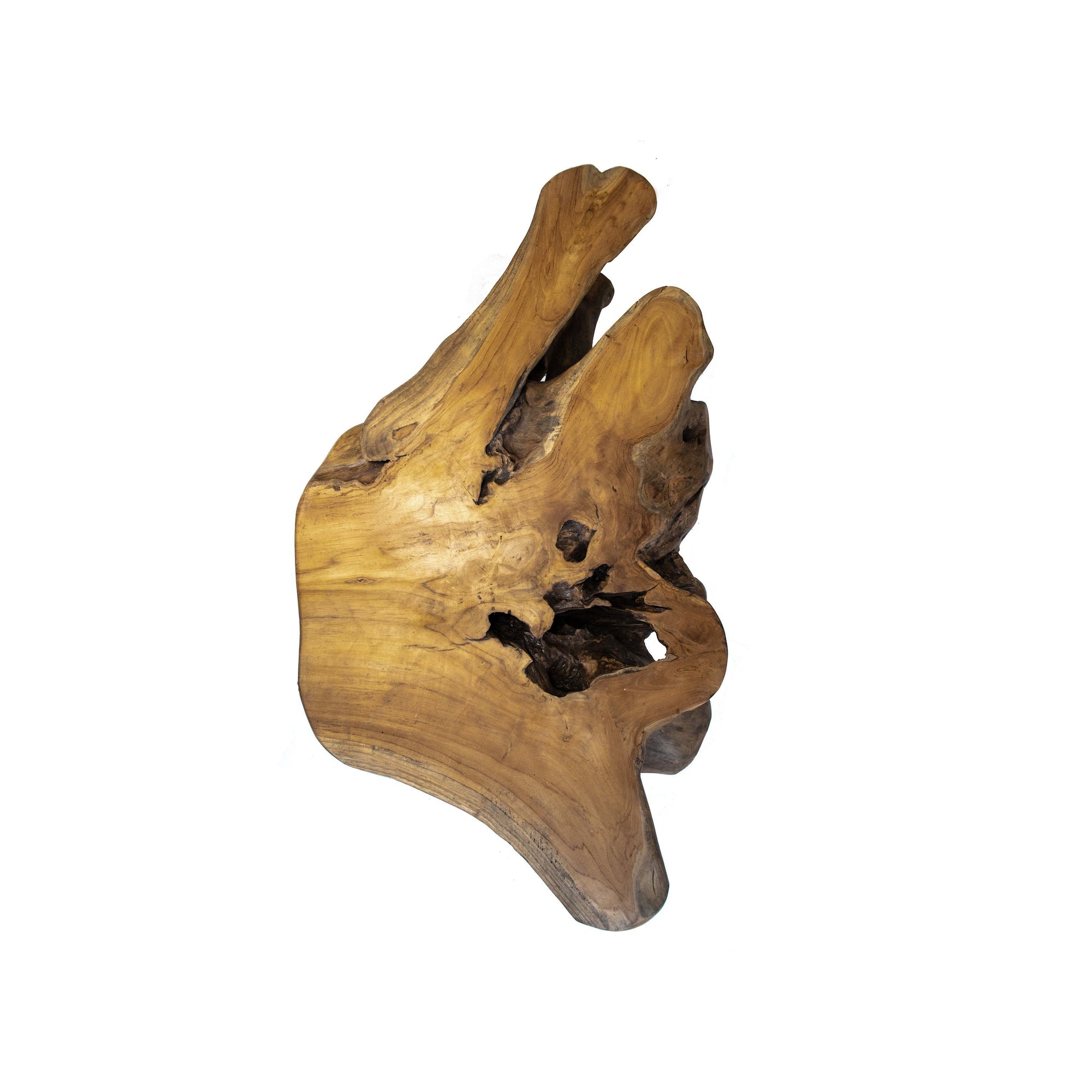 ARKA Living Rustic Primitive Teak root wood Coffee table