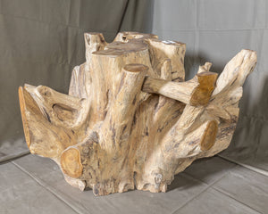 Teak Wood Root Coffee Table with Glass Top 35.5"x35.5", Modern Coffee Table #1