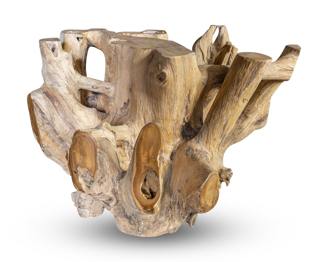 Teak Wood Root Coffee Table with Glass Top 35.5