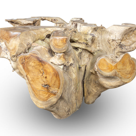 Teak Wood Root Coffee Table with Glass Top 35.5