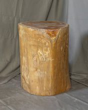 Load image into Gallery viewer, Solid Teak Wood Side Table, Natural Tree Stump Stool or End Table #16    18&quot; H x 13.5&quot; W x 13.5&quot; D
