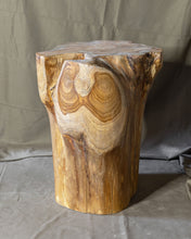 Load image into Gallery viewer, Solid Teak Wood Side Table, Natural Tree Stump Stool or End Table #10    17.75&quot; H x 14&quot; W x 14.5&quot; D
