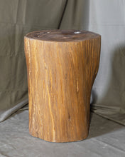 Load image into Gallery viewer, Solid Teak Wood Side Table, Natural Tree Stump Stool or End Table #20    17.75&quot; H x 14&quot; W x 13&quot; D
