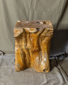 Square Solid Teak Wood Side Table, Natural Tree Stump Stool or End Table #6  15.5" H x 12" W x 12" D
