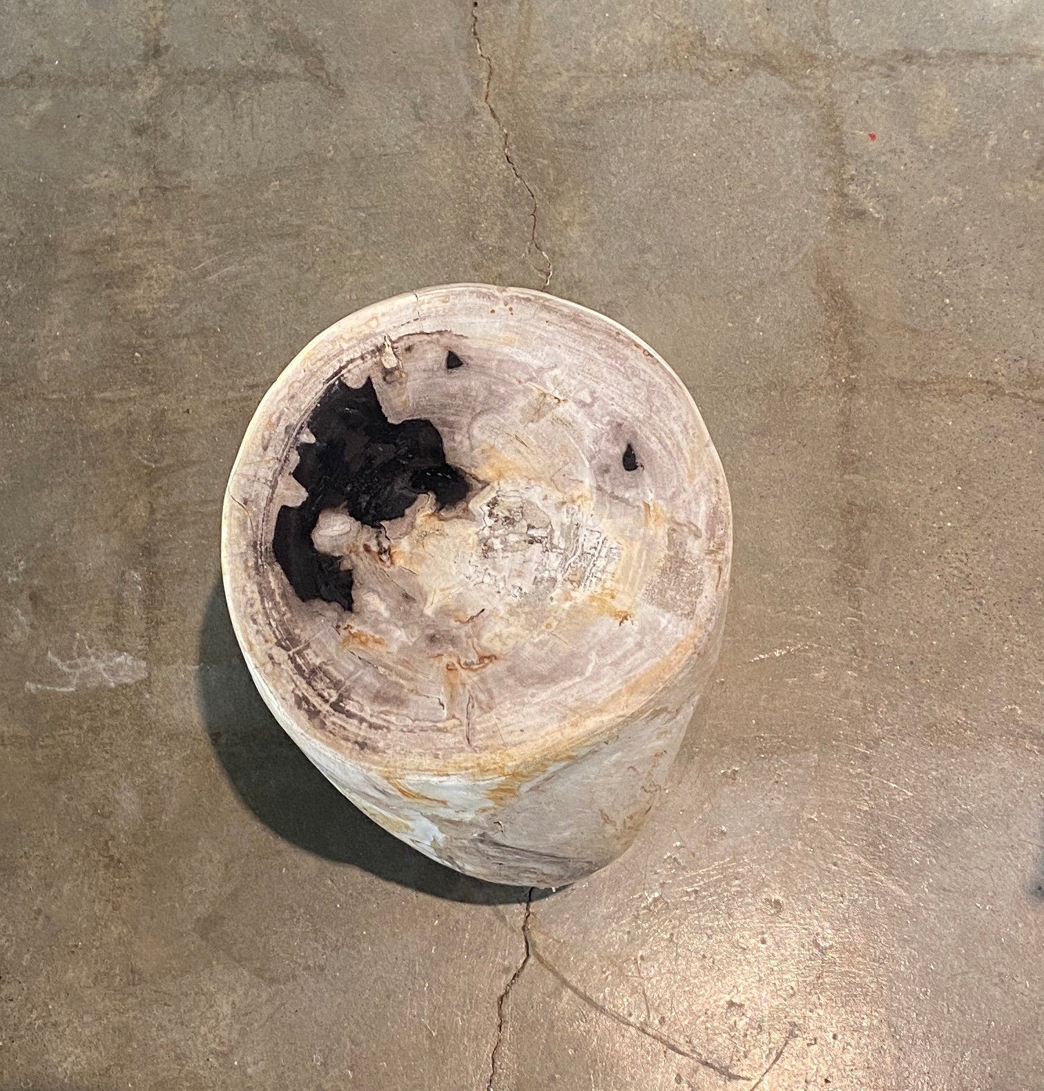 Light Beige and Black Petrified  solid wood stool block , fossil wood side end table or coffee table 4