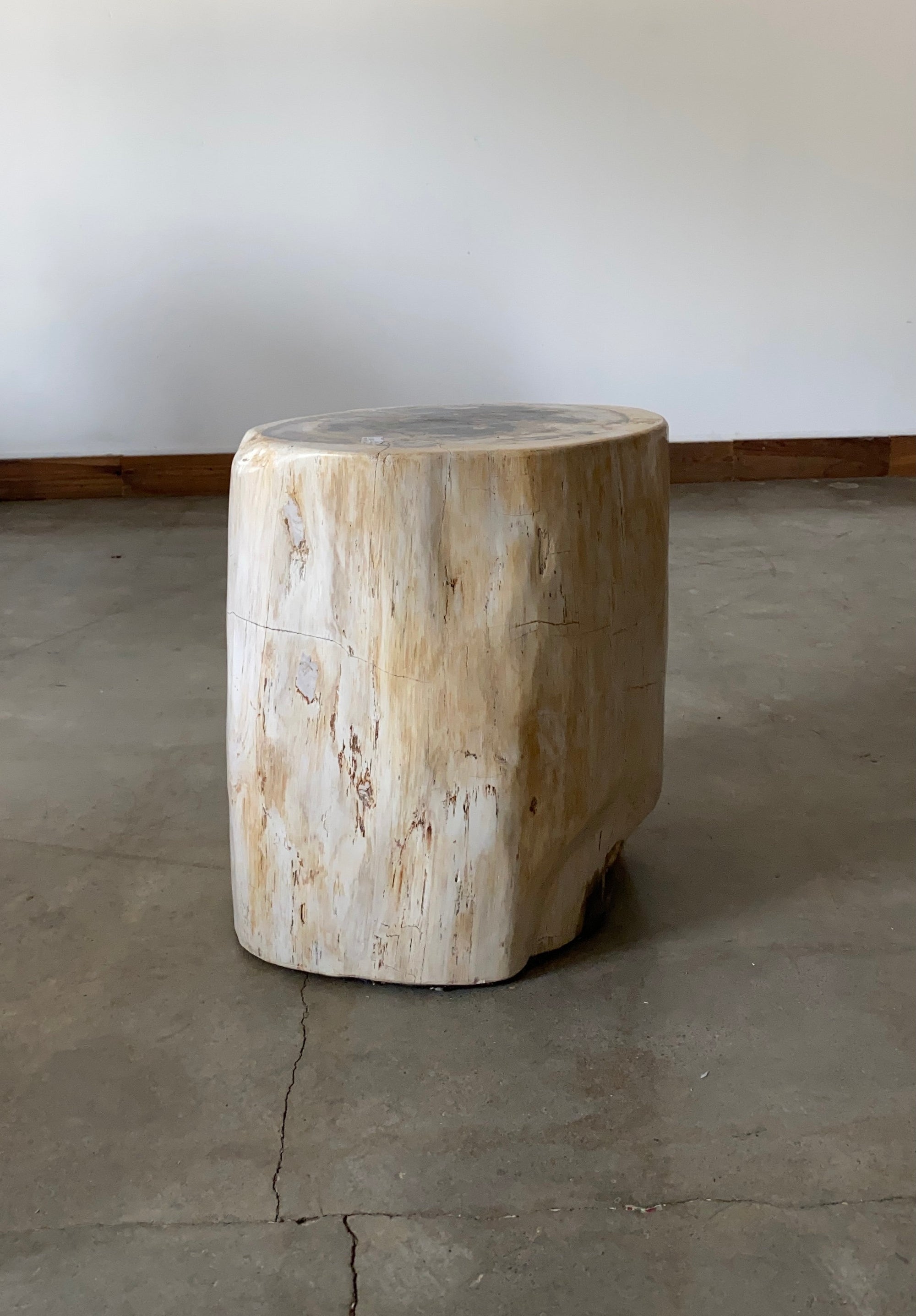 Light Beige and Black Petrified  solid wood stool block , fossil wood side end table or coffee table 9
