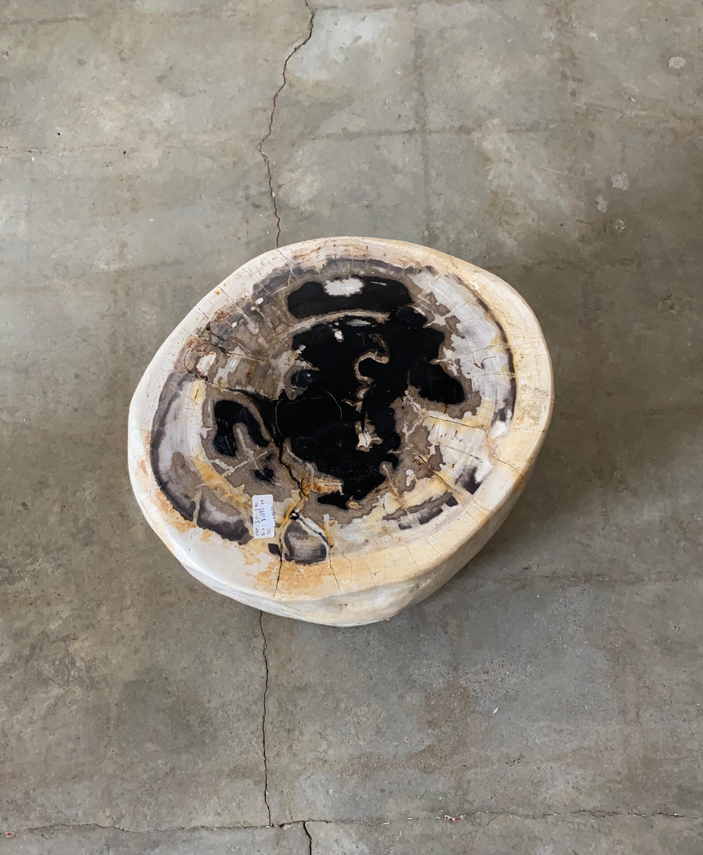 Light Beige and Black Petrified  solid wood stool block , fossil wood side end table or coffee table 9