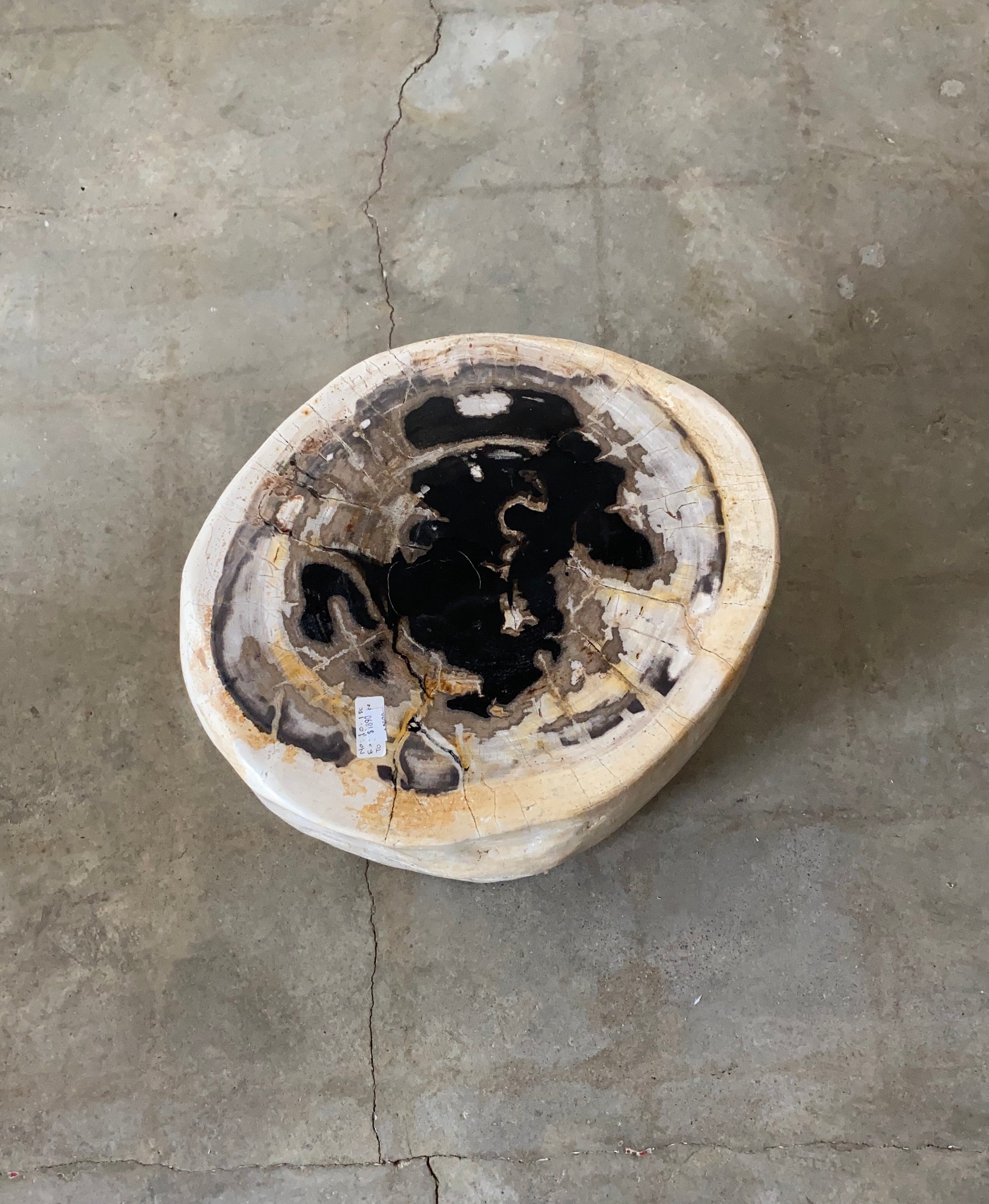 Light Beige and Black Petrified  solid wood stool block , fossil wood side end table or coffee table 9