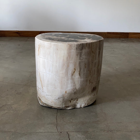 Light Beige and Black Petrified  solid wood stool block , fossil wood side end table or coffee table 8