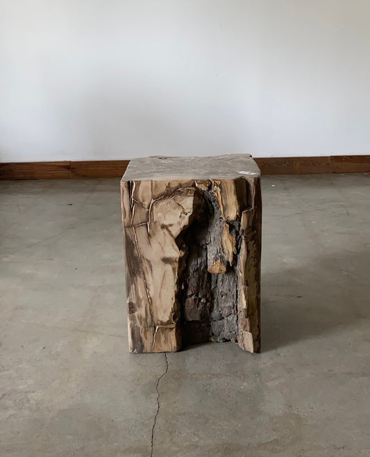 Brown Petrified wood stool block , fossil wood end table or coffee table 5