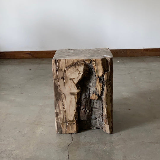 Brown Petrified wood stool block , fossil wood end table or coffee table 5