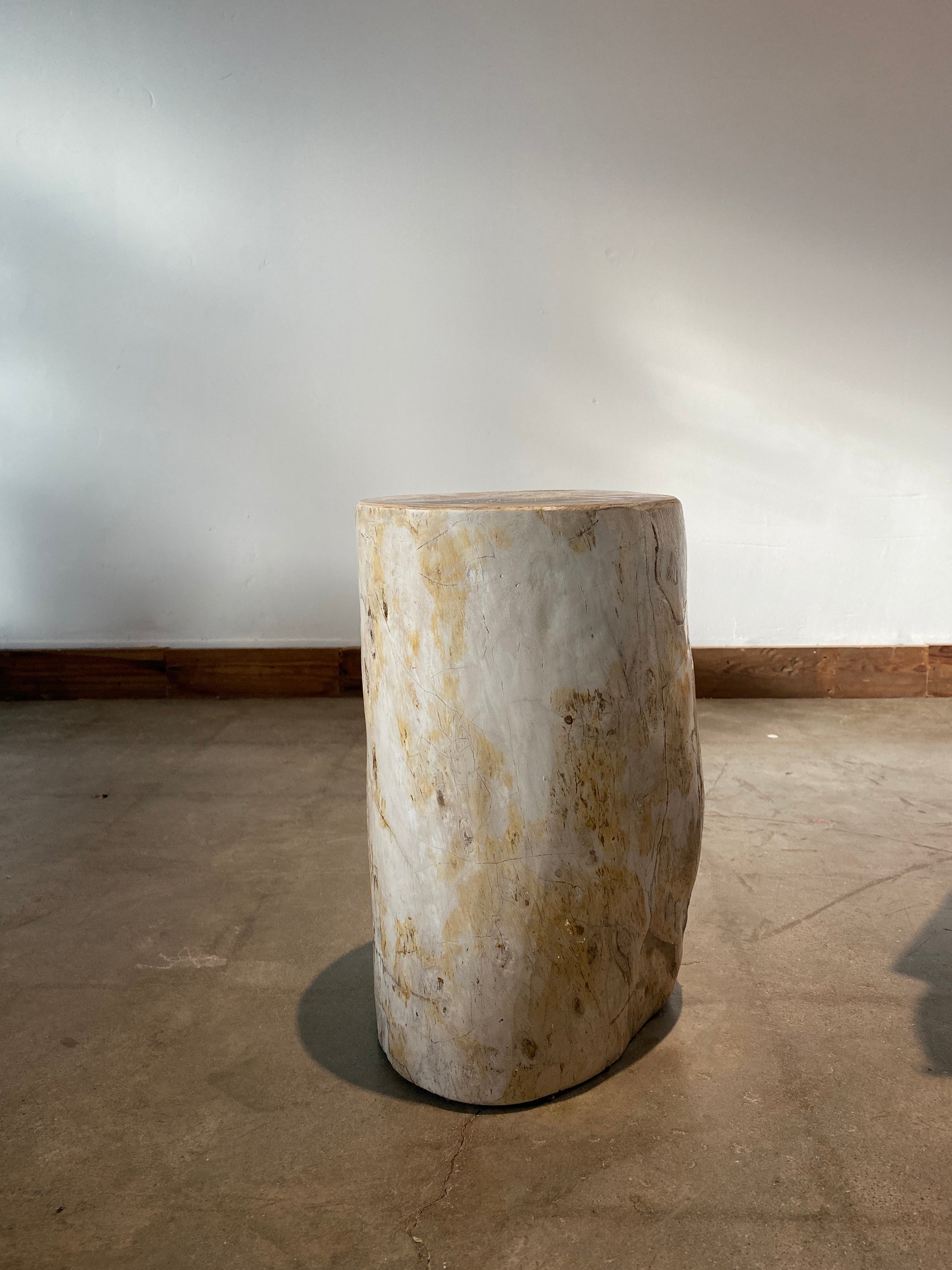 Light Beige and Black Petrified  solid wood stool block , fossil wood side end table or coffee table 4