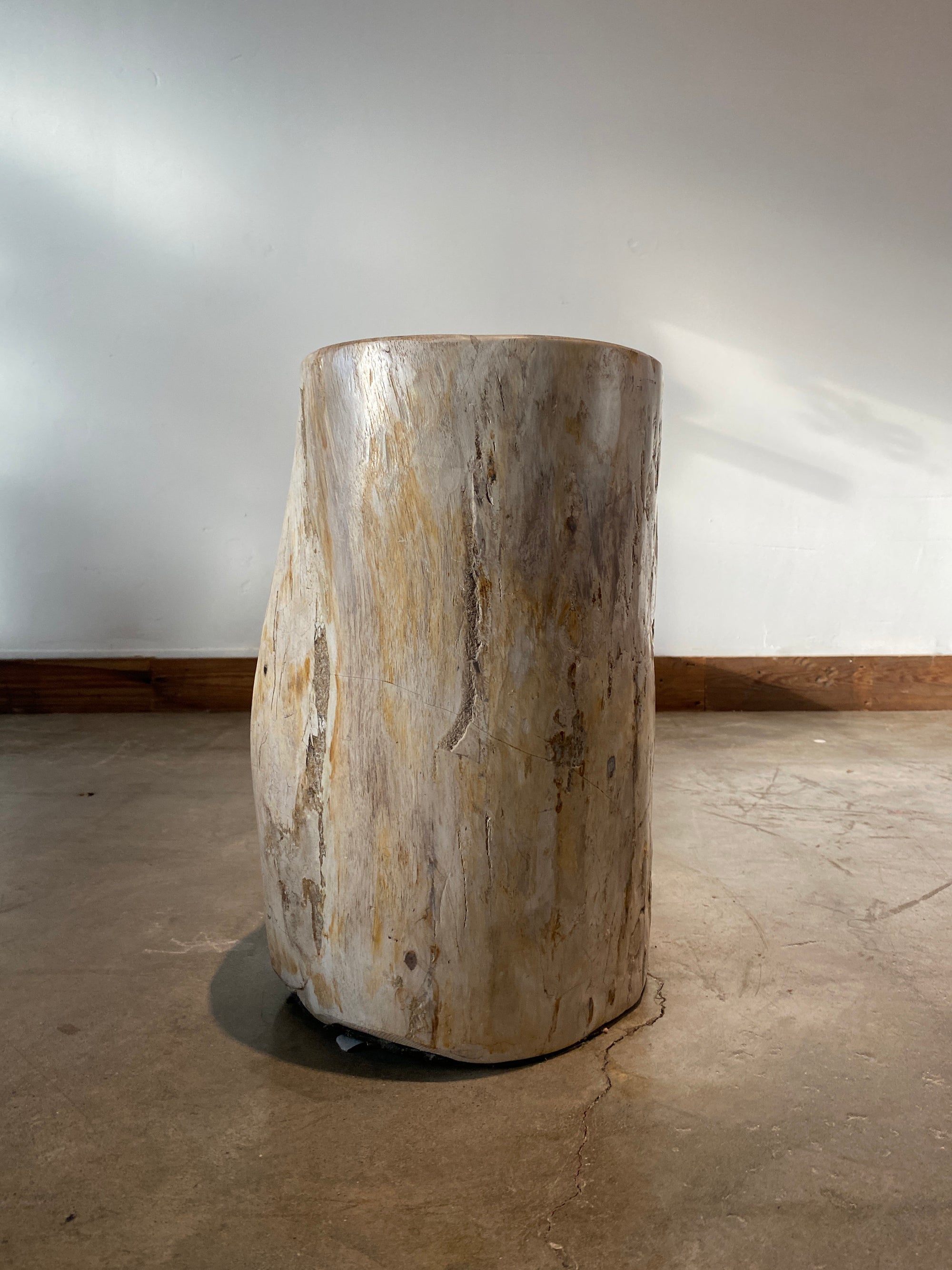 Light Beige and Black Petrified  solid wood stool block , fossil wood side end table or coffee table 4