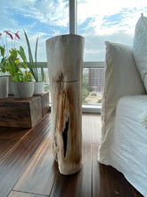 Load image into Gallery viewer, White and Black Petrified  long solid wood stool block , fossil wood side end table
