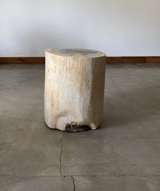 Light Beige and Black Petrified  solid wood stool block , fossil wood side end table or coffee table 9