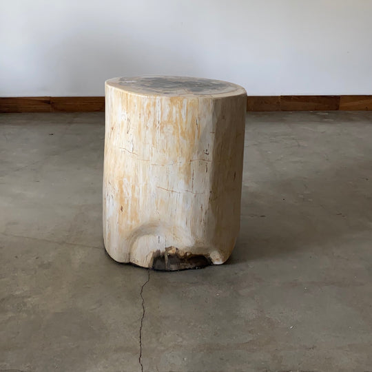 Light Beige and Black Petrified  solid wood stool block , fossil wood side end table or coffee table 9