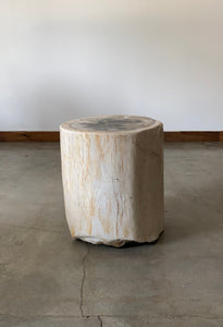 Light Beige and Black Petrified  solid wood stool block , fossil wood side end table or coffee table 9