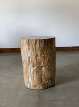 Load image into Gallery viewer, Beige/Copper Petrified wood stool block , fossil wood end table or coffee table
