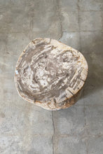Load image into Gallery viewer, Beige/Copper Petrified wood stool block , fossil wood end table or coffee table
