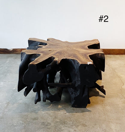 Fire burnt Black Teak Wood Root Coffee Table  , Wabi Sabi style Table