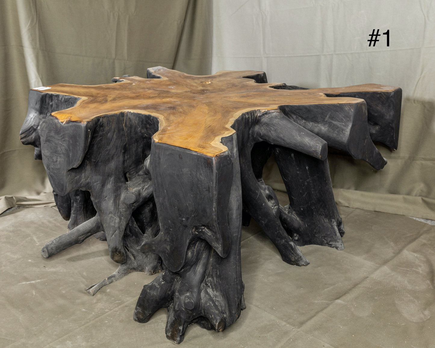 Fire burnt Black Teak Wood Root Coffee Table  , Wabi Sabi style Table