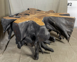 Fire burnt Black Teak Wood Root Coffee Table  , Wabi Sabi style Table