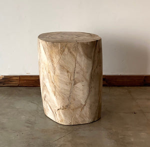 Beige/Cream #15 Petrified wood stool block , fossil wood end table or coffee table 17" W x 15"D x 19.5" H