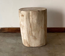 Load image into Gallery viewer, Beige/Cream #15 Petrified wood stool block , fossil wood end table or coffee table 17&quot; W x 15&quot;D x 19.5&quot; H

