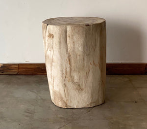 Beige/Cream #15 Petrified wood stool block , fossil wood end table or coffee table 17" W x 15"D x 19.5" H