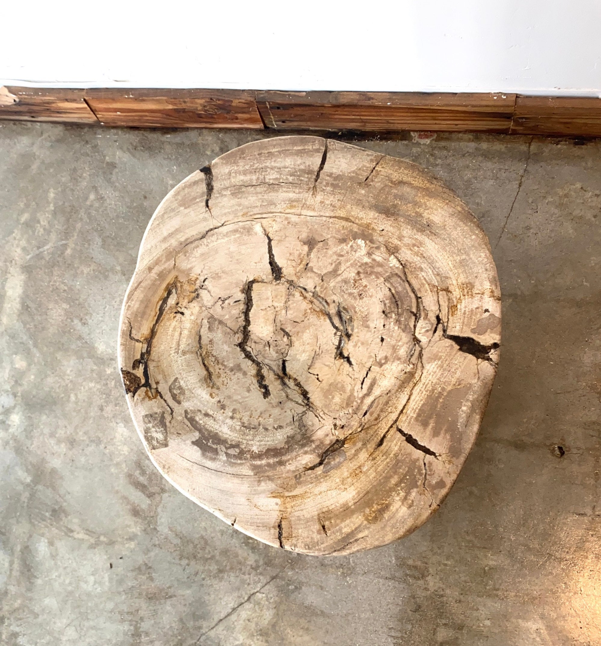 Beige/Cream #15 Petrified wood stool block , fossil wood end table or coffee table 17" W x 15"D x 19.5" H